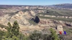 美國專訊 724 (2018年3月17日)