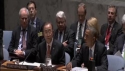 聯合國安理會通過有關外國戰鬥人員的決議