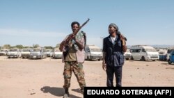 Faayilii - Miseensota milishaa naannoo Amaaraa, Daansha