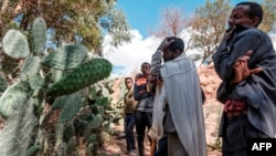 Faayili - Namoota bakka awaalaa kanneen loltoota Ertiraatiin ajjeefamuun himame bira dhaabbatanii gadda ofii ibsachaa jiran, Qarqara Maqalee 