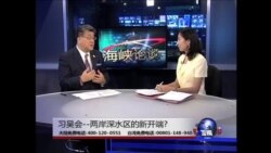 海峡论谈 : 习吴会、苏贞昌访美与撤旗风波