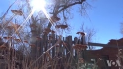 第一家庭采集雨雪数据 民众参与助力气象科学