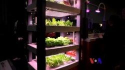 美國專訊 635(2016年7月3日)