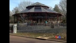 看天下：华盛顿动物园的太阳能旋转木马