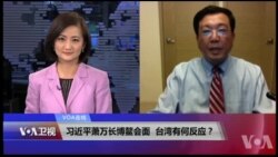VOA连线(杨明)：习近平萧万长博鳌会面，台湾有何反应？