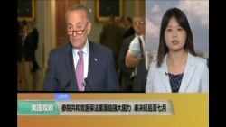 VOA连线: 参院共和党医保法案面临强大阻力 表决延后至七月