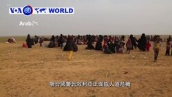 VOA國際60秒(粵語): 2019年1月31日