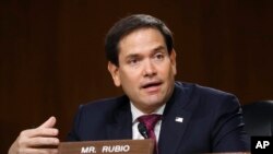 美國參議員魯比奧（Marco Rubio）2020年5月5日在參院情報委員會舉行的聽證會上發言。