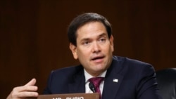 共和黨聯邦參議員魯比奧（Sen. Marco Rubio, R-FL）
