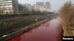 洛阳一条被污染的河流