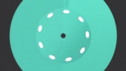 美国万花筒：美国学生白宫前倒地请愿；专家促关注社交媒体 预防枪击暴力；漫威新片《黑豹》票房火爆