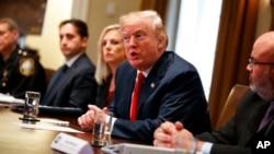 Президент США Дональд Трамп (в центре)