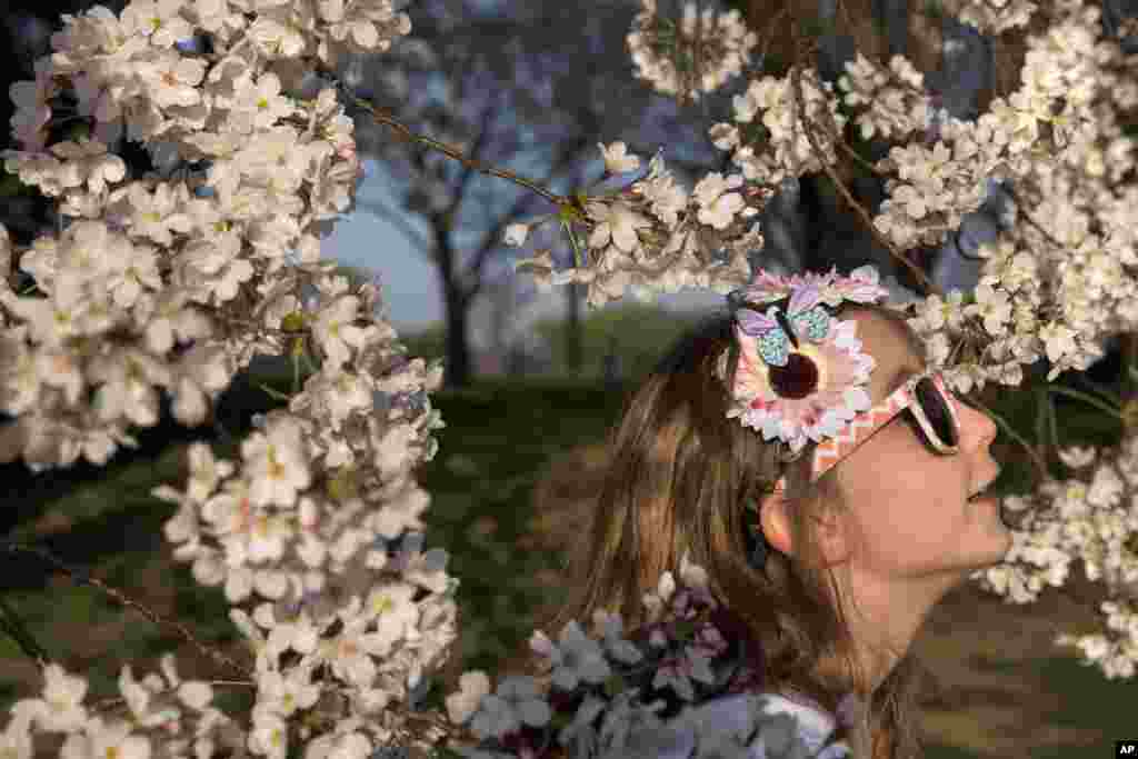 花丛中的一位8岁女孩儿戴着樱花和蝴蝶头饰，真花假花一色，人面樱花相映，人在花中照。