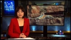 VOA卫视(2016年8月19日 第一小时节目)