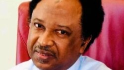 Sanata Shehu Sani