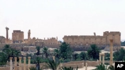 今年5月17日敘利亞政府拍攝有關帕爾米亞古城的照片