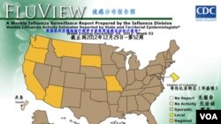 美国流感活动分布图(2012年第52周）