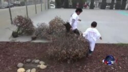 “大周日”：志愿者们行动起来！