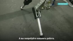 Хай, Tech! с Андреем Цветковым