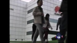 华为向澳大利亚开放源码证清白