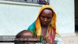 Guutummaa qophii kanaa dhaggeeffadhaa.