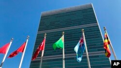 Faayilii - Waajjira Muummee Tokkummaa Mootummaa, Niiw Yoorki