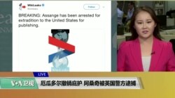 VOA连线(魏之)：厄瓜多尔撤销庇护，阿桑奇被英国警方逮捕