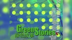 绿色故事系列：环保生态教育