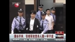 枉称世纪过堂 实为政治双簧