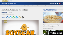 2018年7月20日，中國官方海外媒體CGTN發布了一段英文的動畫視頻《大豆的獨白》（Monologue of a Soy Bean），以一個卡通大豆的口吻講述美中貿易戰對美國農業州的影響。 （圖為CGTN網站截屏，時間2018年7月20日下午2點。）