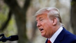 Trump Deggersa Maallaqa WHO irraa Dhaabuuf Murteessuu Isaanii Irra Deebi’uun Mirkaneessan