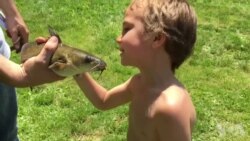 来来来！来钓鱼--美国老运河重现风光