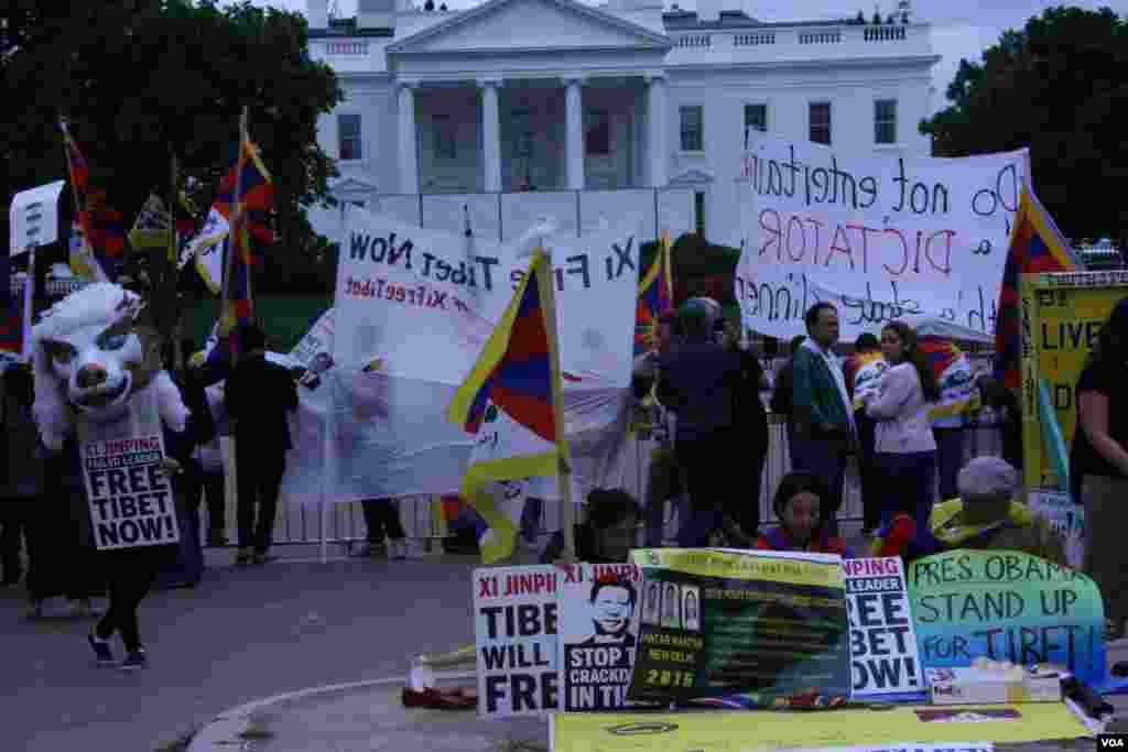 抗議人士在拉斐特廣場(美國之音鐘辰芳拍攝)