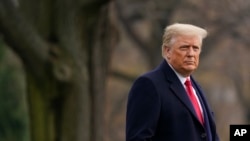 Faayilii - Prezidaant Doonaald Tramp 