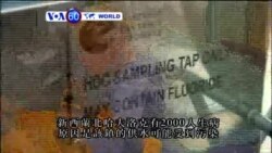 VOA國際60秒(粵語): 2016年8月16日