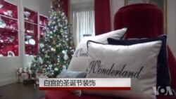 圣诞节的白宫 - 冬天的童话世界