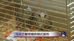 乌克兰餐馆嘲弄俄式宣传