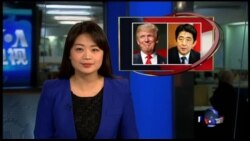 VOA卫视（2017年2月11日 周末专辑）