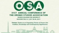 Oromoon Gadaa malee Gadaan ammoo Oromoo malee hin taatu jedhe koratti jira OSA-n