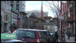 VOA连线(易林) : 华盛顿特区“没有移民的一天 ”