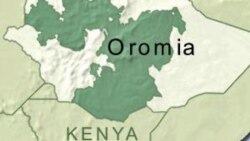 Magaalaaleen Oromiyaa Maal Keessa Jiru?