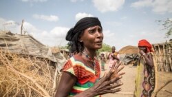 Itiyoophiyaa Keessatti Gargaarsa Nyaata Kan Hatattamaa Baranas Akka Barbaachisu Ibsame