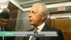 VOA连线(李逸华)：国务卿无预警遭解职，美国会震惊哗然