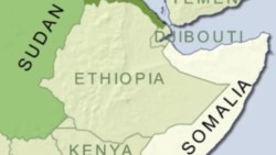 Oromoo wal dhaba daarii Somaaleetiin baqattee horii miliyoona hedduu walti guuruutti jiran