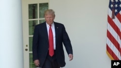 2017年6月1日，美国总统川普走出椭圆形办公室，进入白宫玫瑰园。（资料照片）