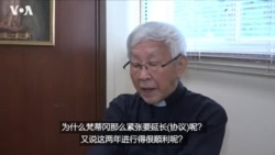 专访陈日君：梵蒂冈与中国续签临时协议或有政治目的