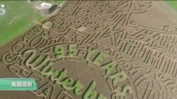 秋天，去美国农场玩转玉米田迷宫