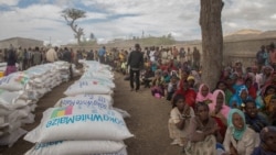 Yunaaytid Isteetes Caama Itiyoophiyaa Keessaaf Doolaara Miliyoona 91 Dabalataan Kennite