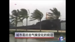 全球各地市长：城市是抗击气候变化的前沿