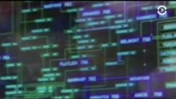 Спецслужбы разгромили кибергруппировку «Лавина» и ликвидировали глобальную сеть зараженных компьютеров